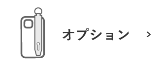 オプションから探す